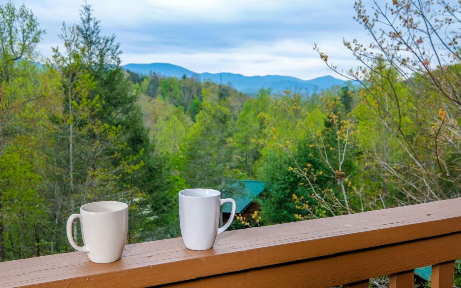 Siesta Ridge Villa Gatlinburg Buitenkant foto